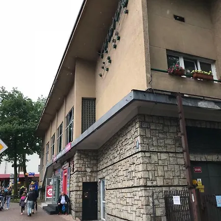 公寓 Expo Krupowki 60 扎科帕内